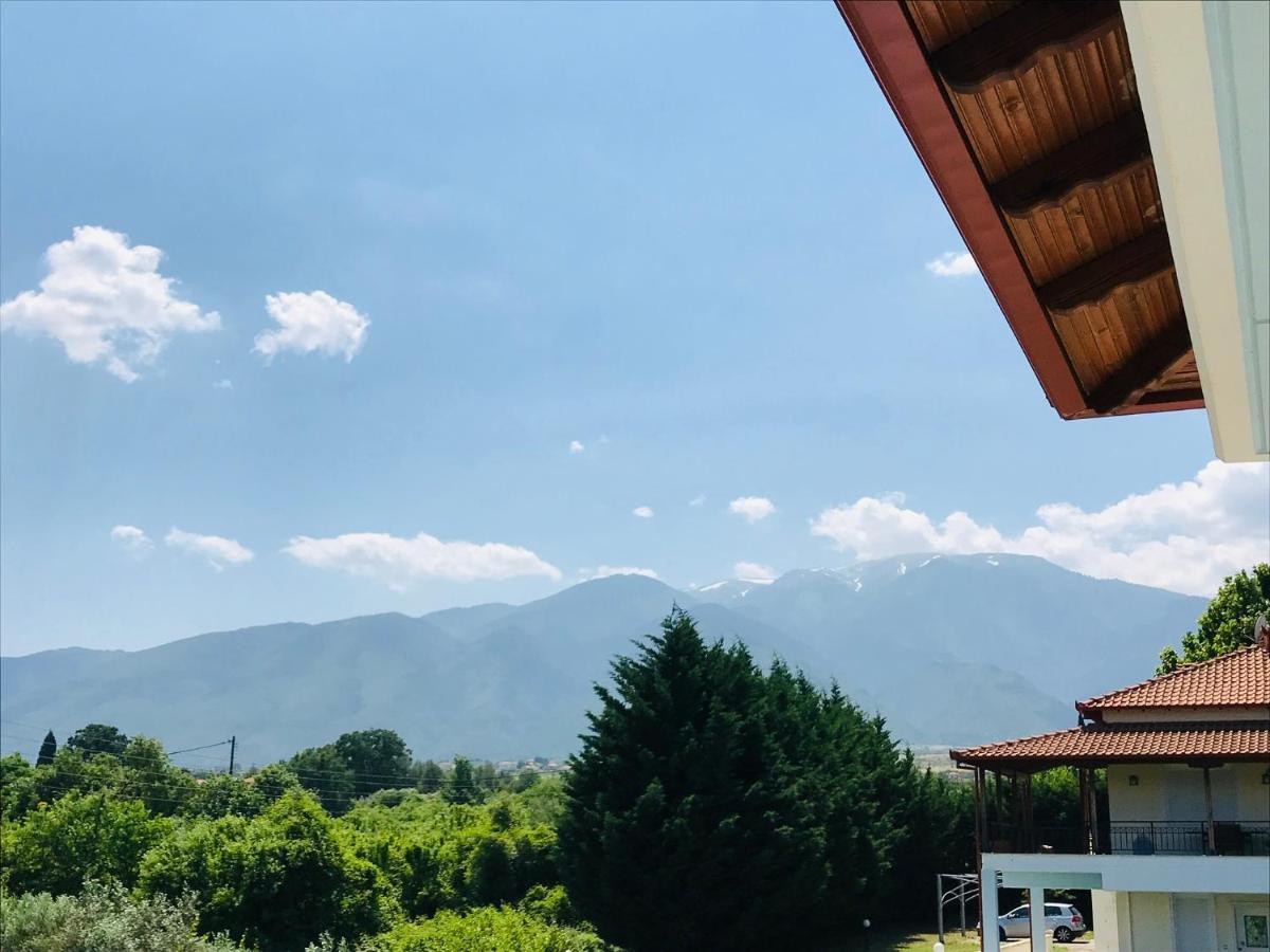 Dimeli Villa Litochoro Exterior foto